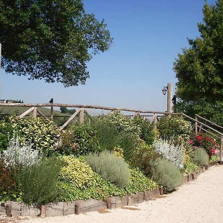 Tenuta Colverano 몬테팔코 외부 사진