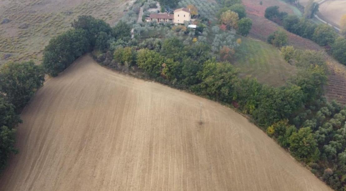 Tenuta Colverano 몬테팔코 외부 사진