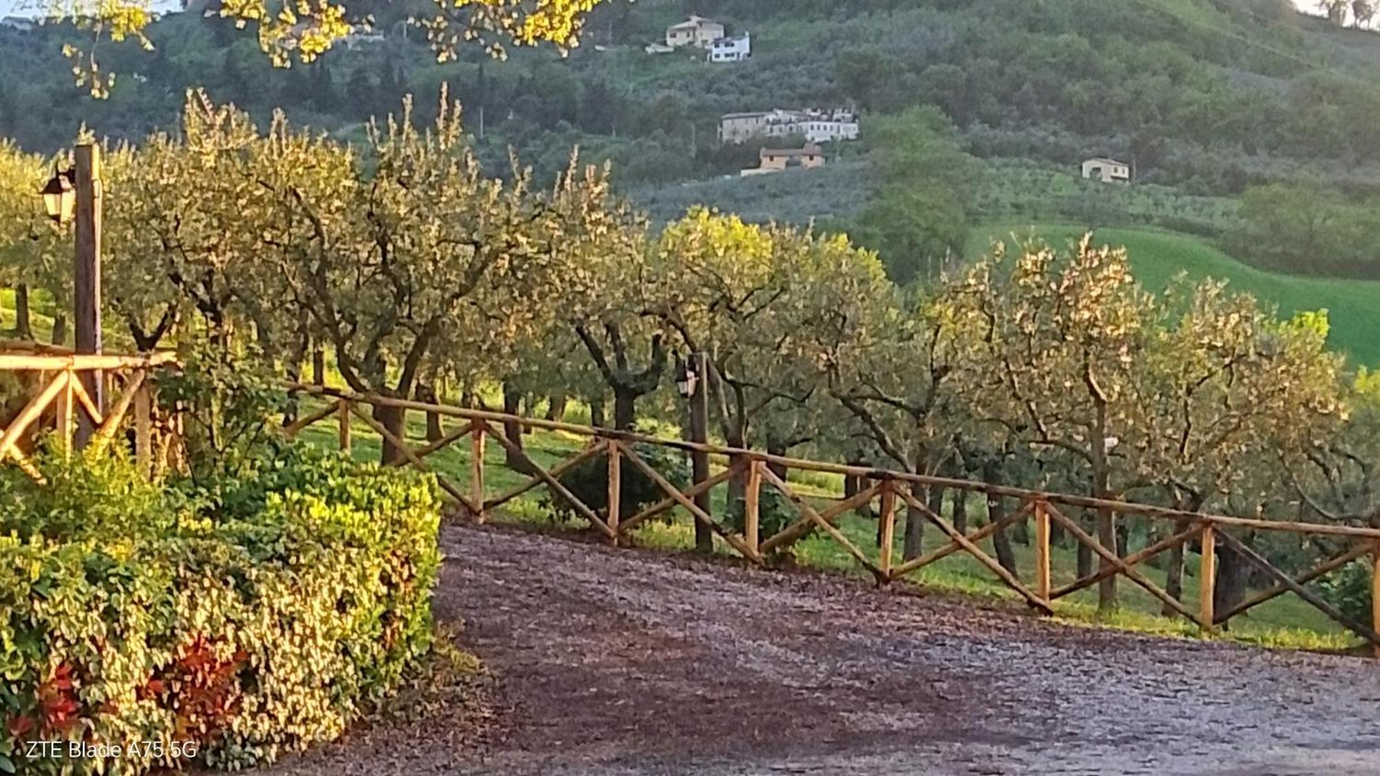 Tenuta Colverano 몬테팔코 외부 사진