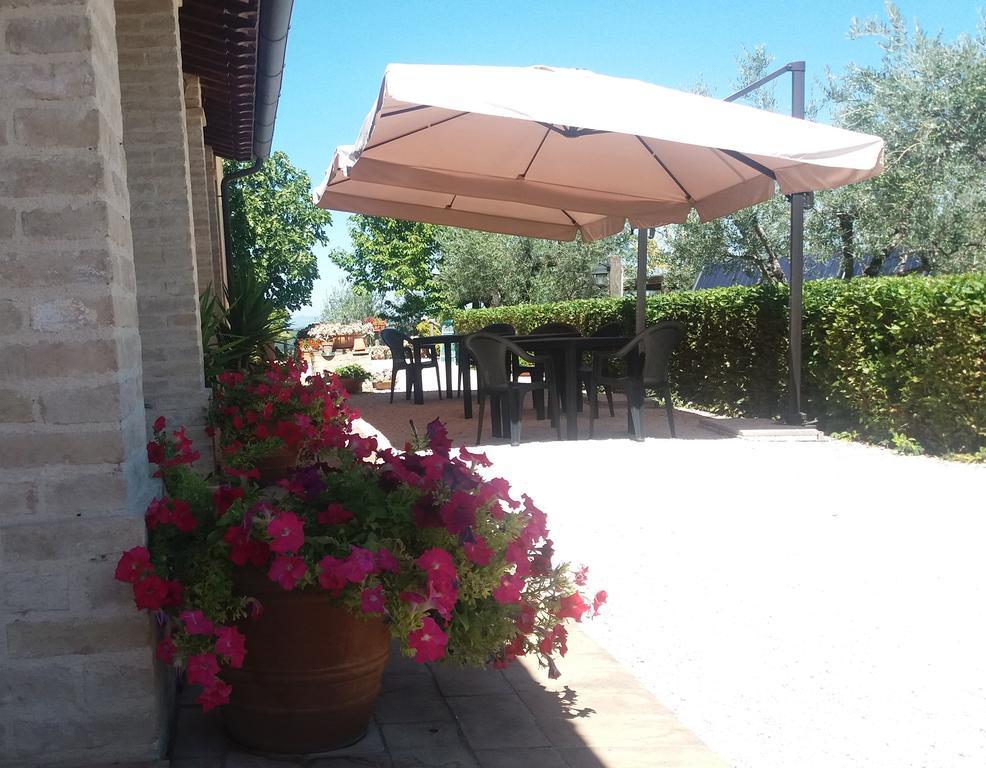 Tenuta Colverano 몬테팔코 외부 사진