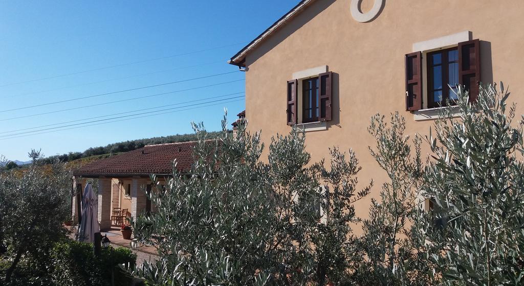 Tenuta Colverano 몬테팔코 외부 사진