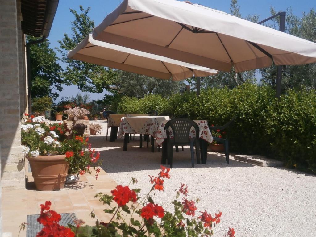 Tenuta Colverano 몬테팔코 외부 사진