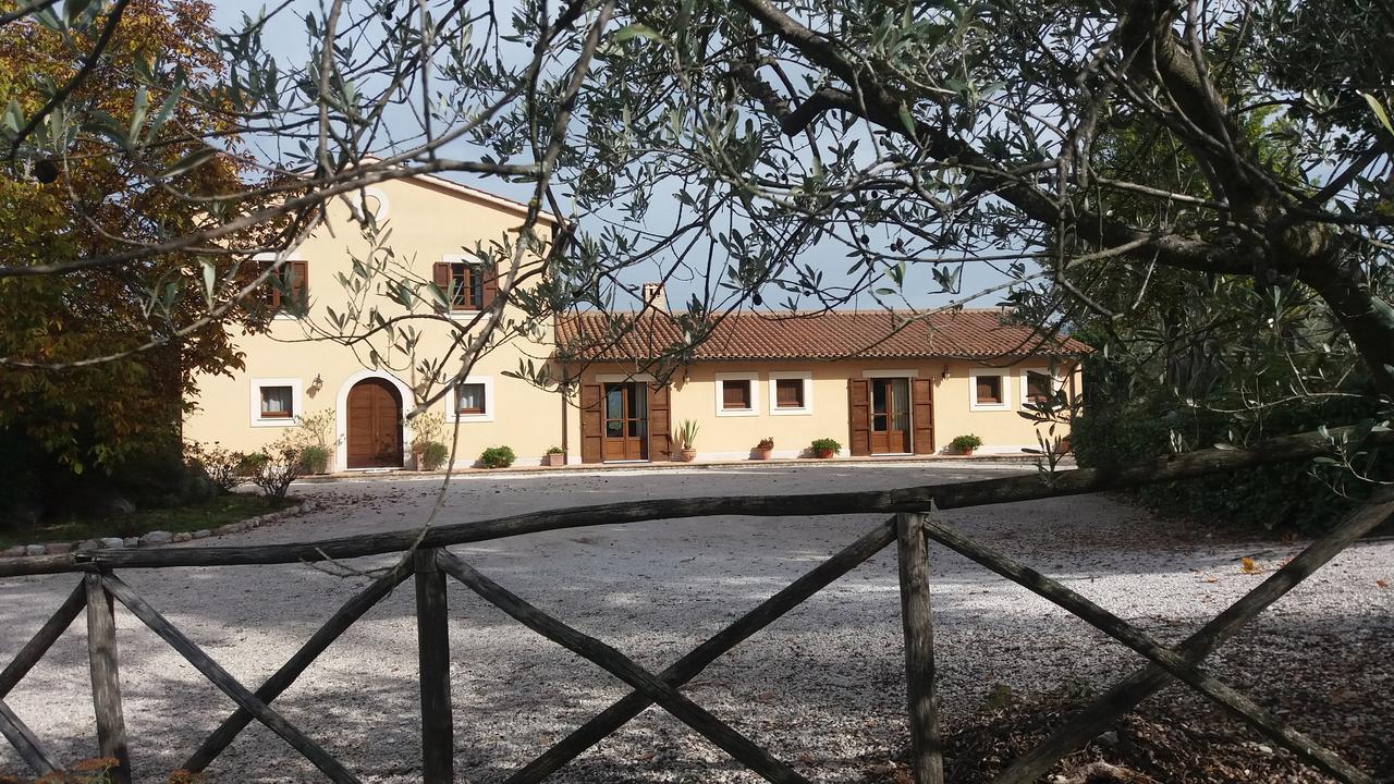 Tenuta Colverano 몬테팔코 외부 사진