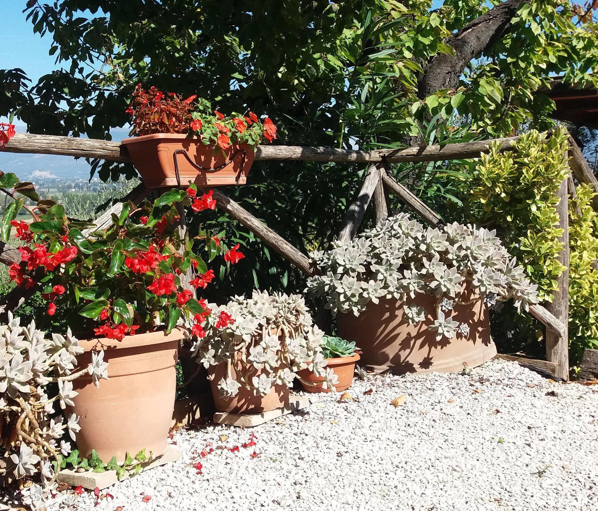 Tenuta Colverano 몬테팔코 외부 사진