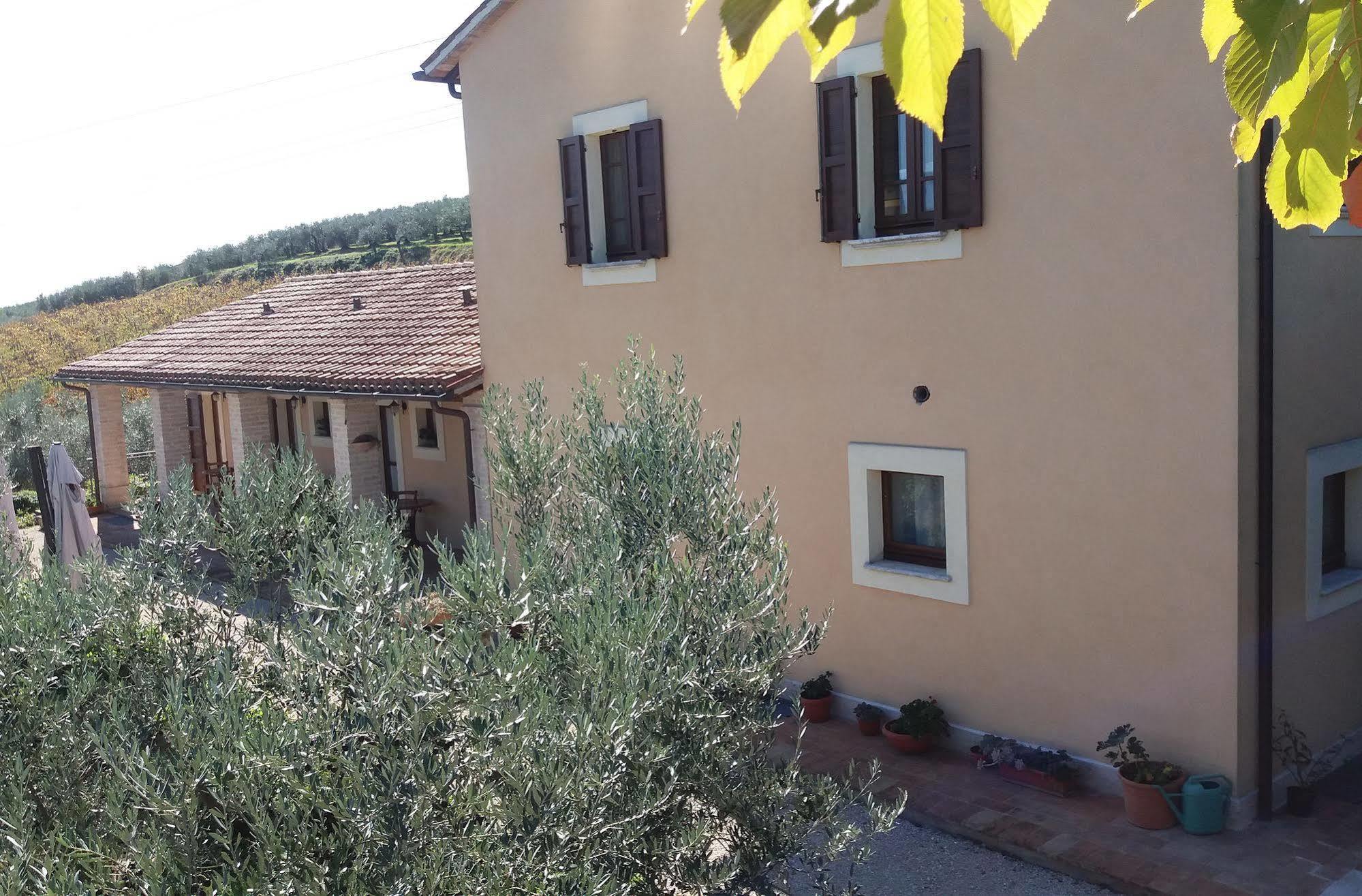 Tenuta Colverano 몬테팔코 외부 사진
