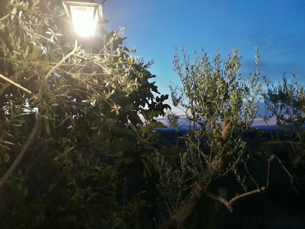 Tenuta Colverano 몬테팔코 외부 사진