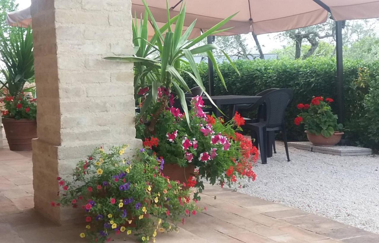 Tenuta Colverano 몬테팔코 외부 사진